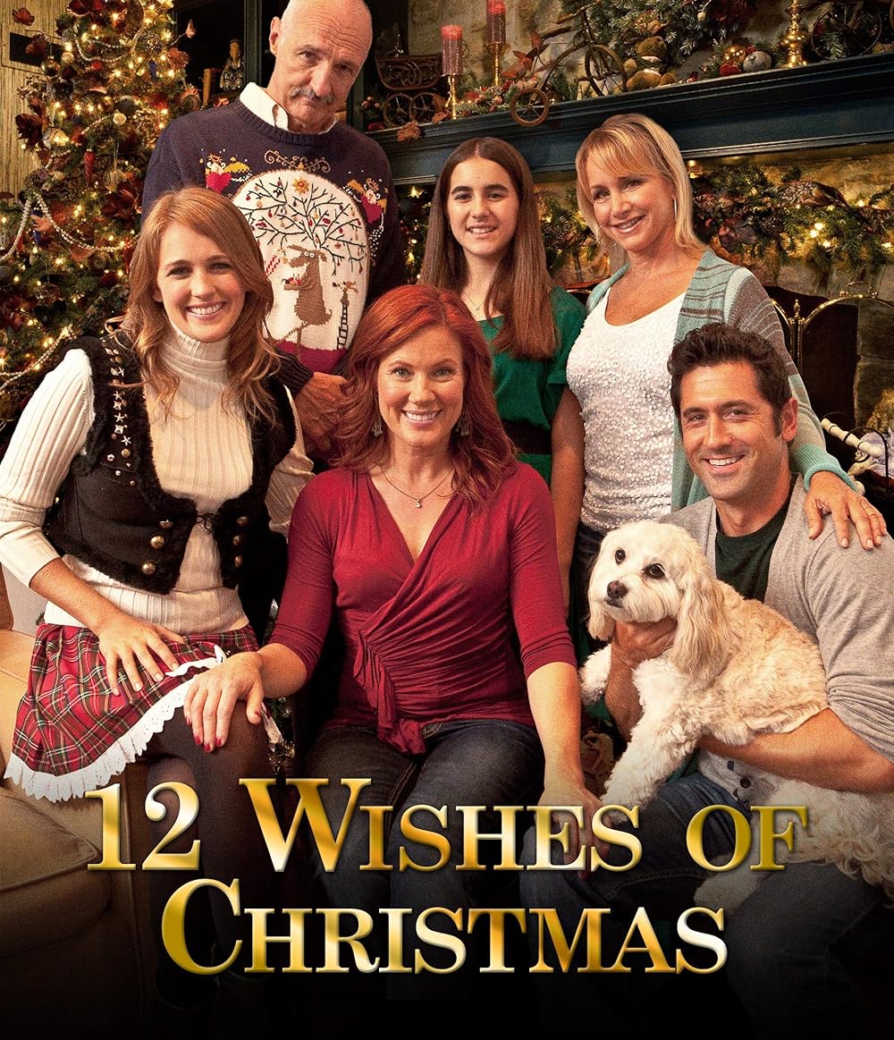 12 Wishes of Christmas 2011 on DVD Movie $9.99