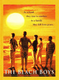 The Beach Boys: An American Family Movie on DVD $9.99