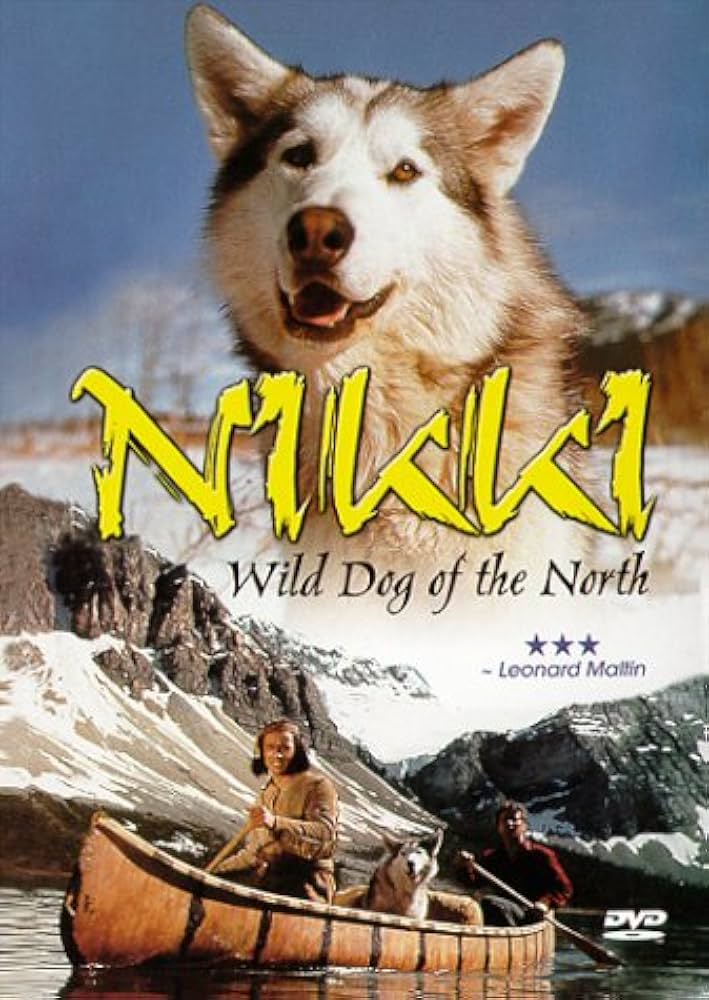 Nikki, Wild Dog of the North Movie on DVD $9.99