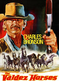 The Valdez Horses (1973) Movie on DVD $9.99