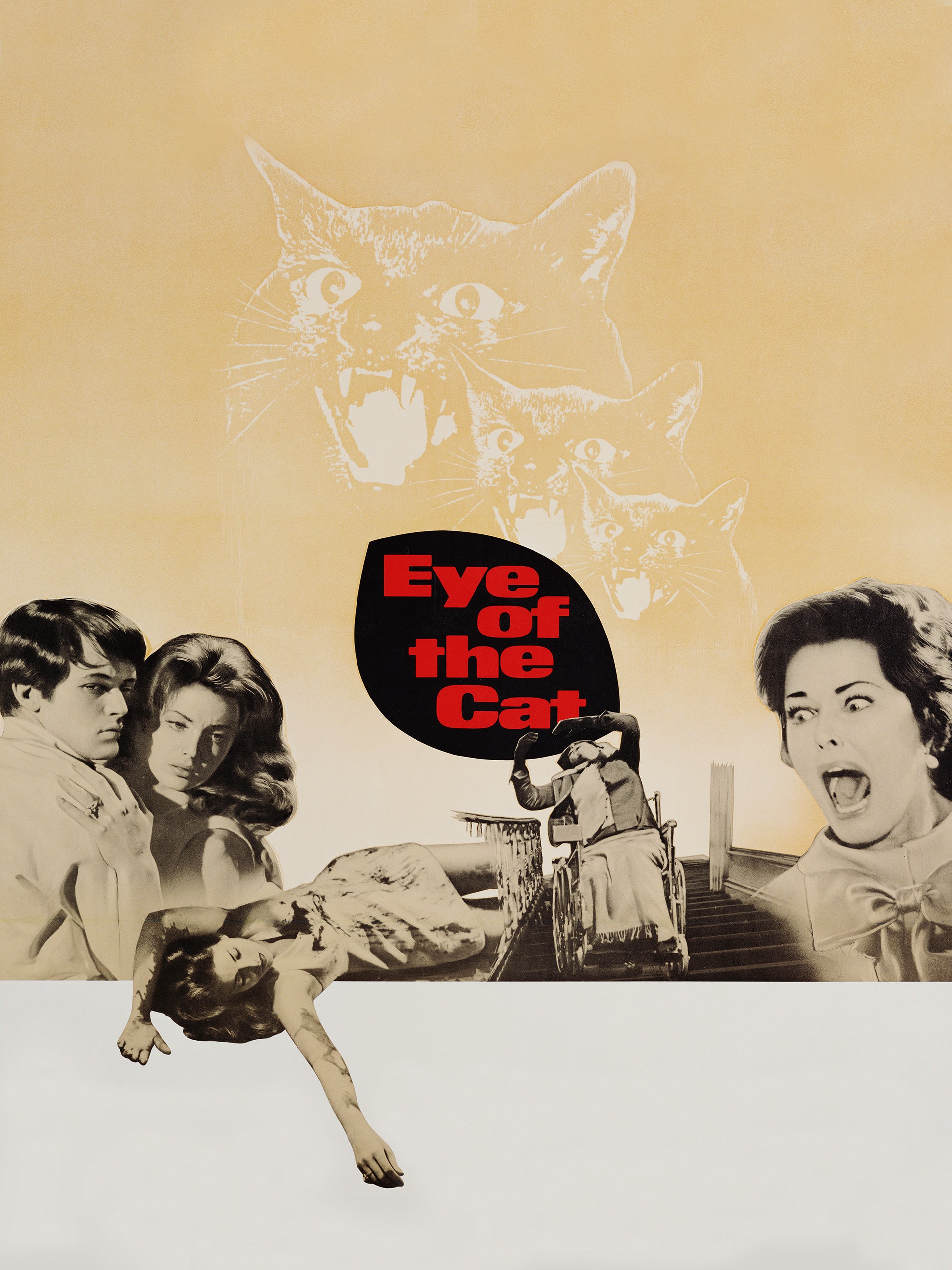 Eye of the Cat Movie on DVD $9.99
