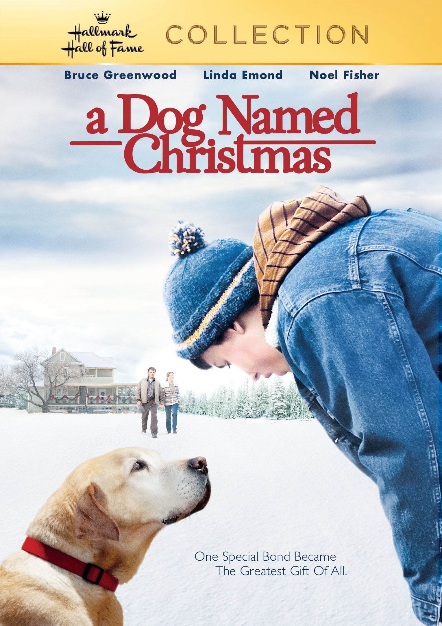 A Dog Named Christmas DVD Movie