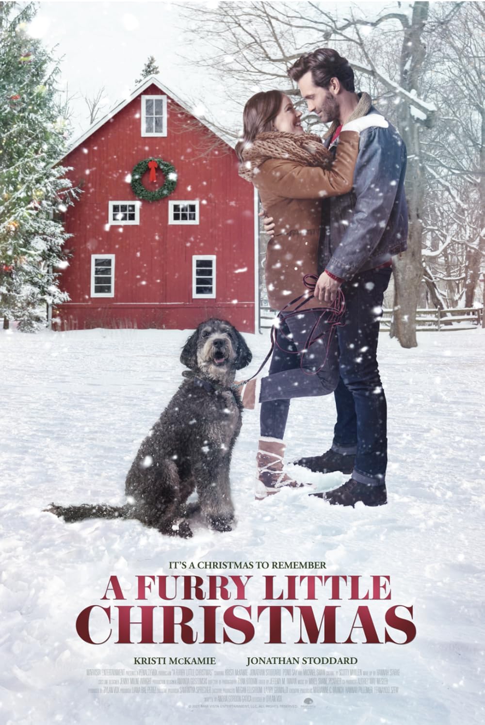 A Furry Little Christmas (2021) DVD Movie