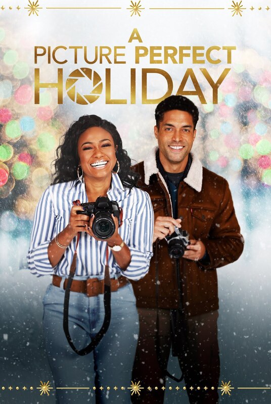 A Picture Perfect Holiday (2021) DVD Movie