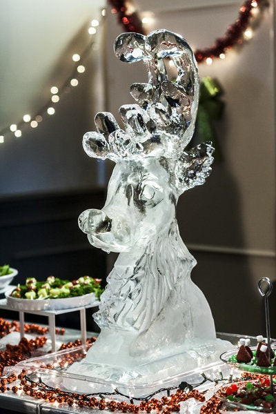 Ice Sculpture Christmas DVD Movies