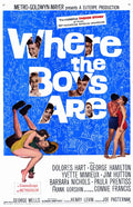 Where the Boys Are 84 Movie on DVD (1984)