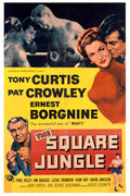 The Square Jungle Movie on DVD (1955)