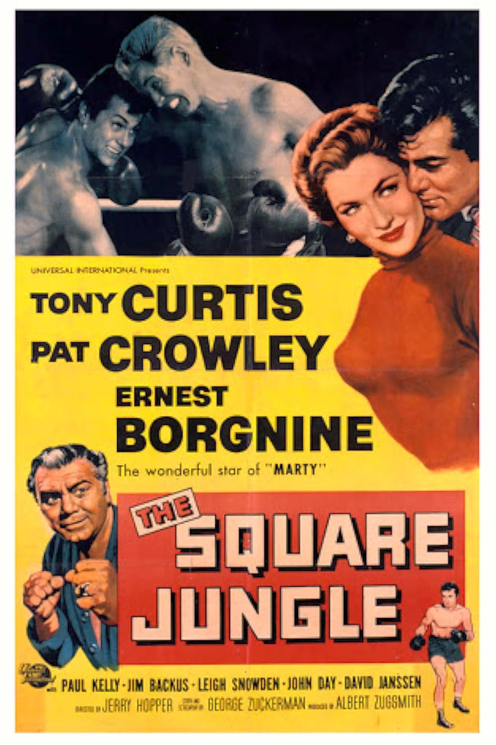 The Square Jungle Movie on DVD (1955)