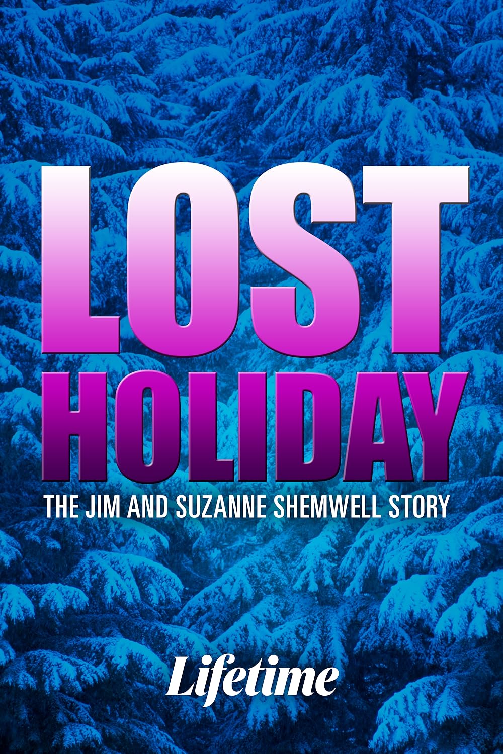 Lost Holiday: The Jim And Suzanne Shemwell Story Movie on DVD $9.99