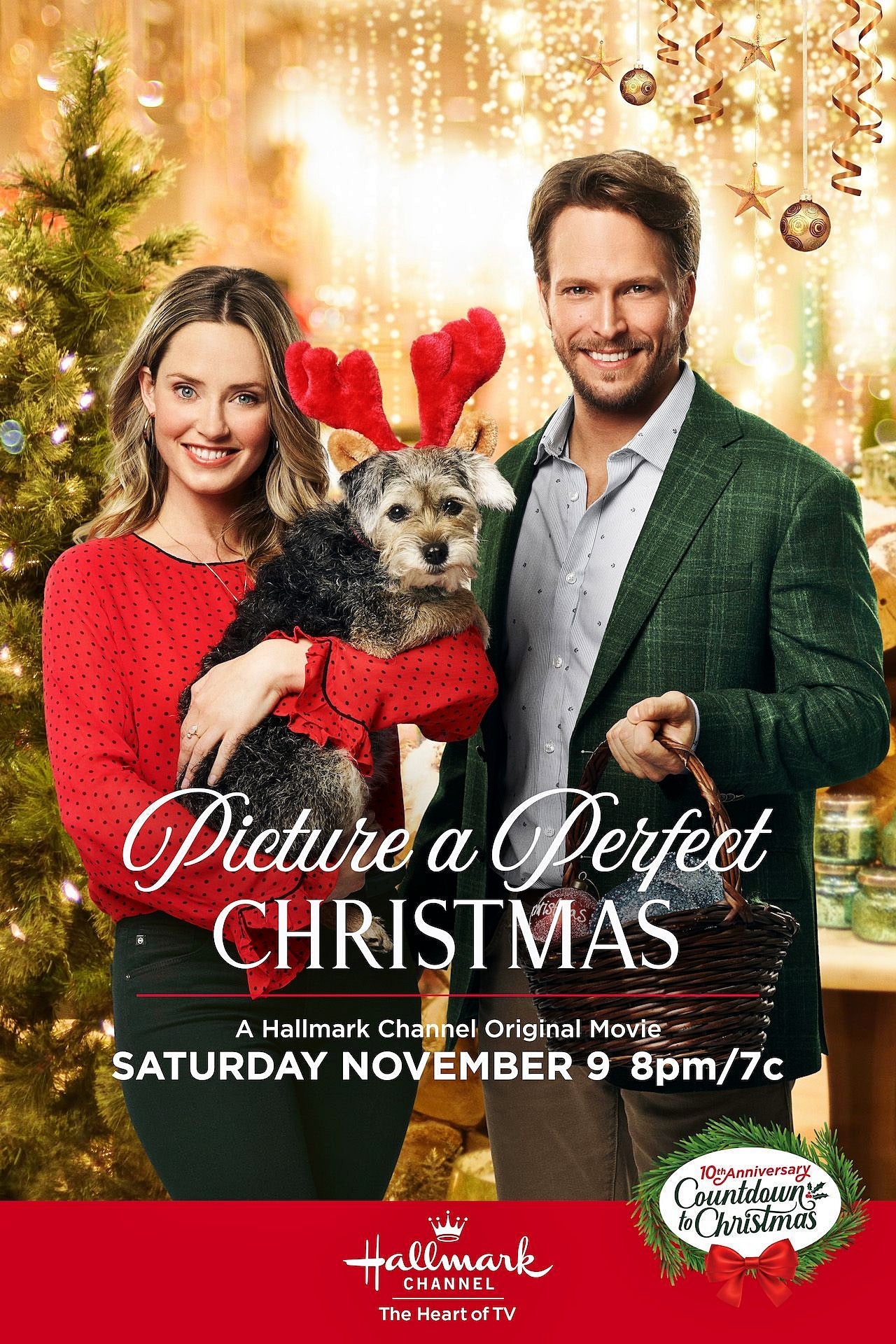 Picture A Perfect Christmas (2019) DVD Movies