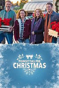Poinsettias for Christmas (2018) DVD Movies