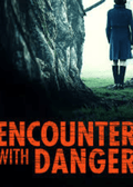 Encounter With Danger (2009) DVD Movie