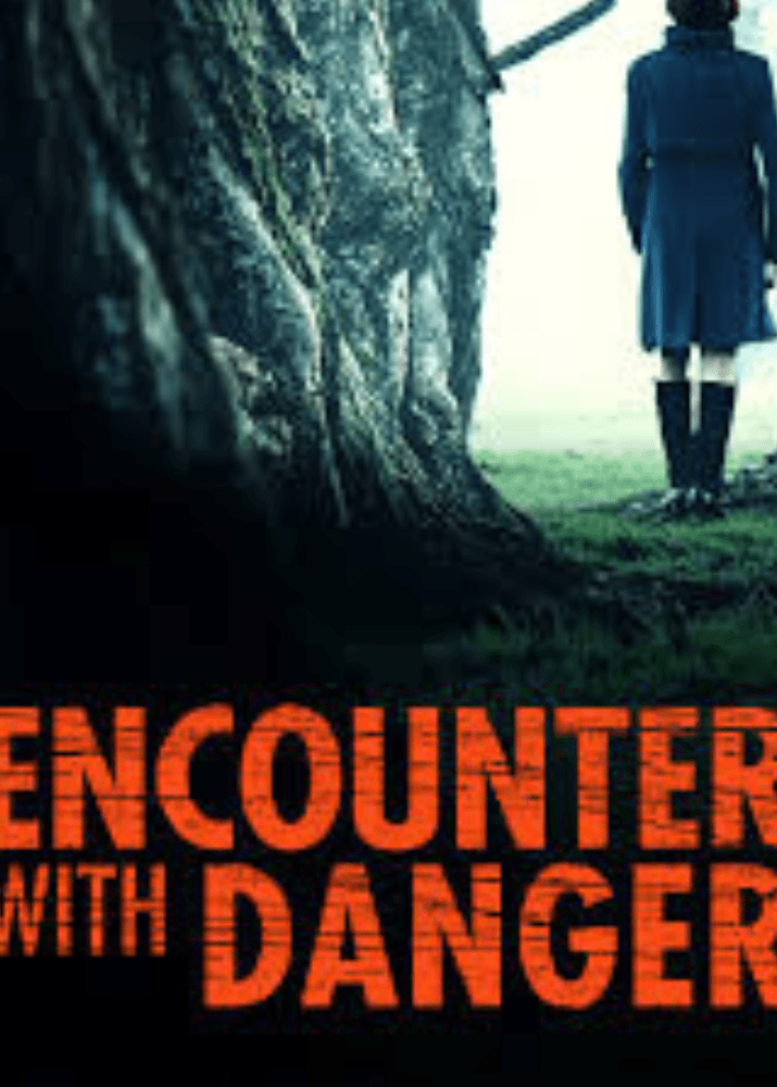 Encounter With Danger (2009) DVD Movie