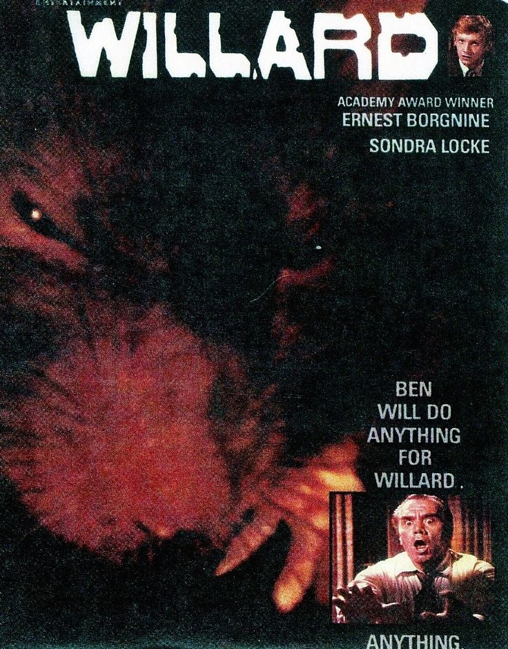 Willard (1971) Movie on DVD $9.99