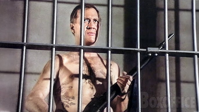 Cell Block Uprising Movie on DVD
