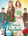 Switched for Christmas DVD Movies