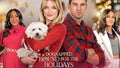 Dognapped: Hound for the Holidays Movie on DVD $9.99