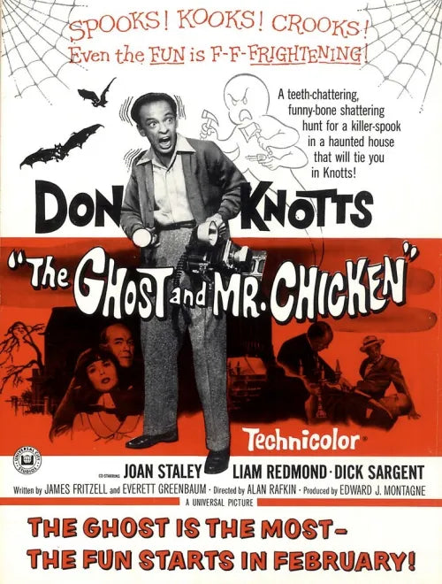 The Ghost and Mr. Chicken Movie on DVD (1966)