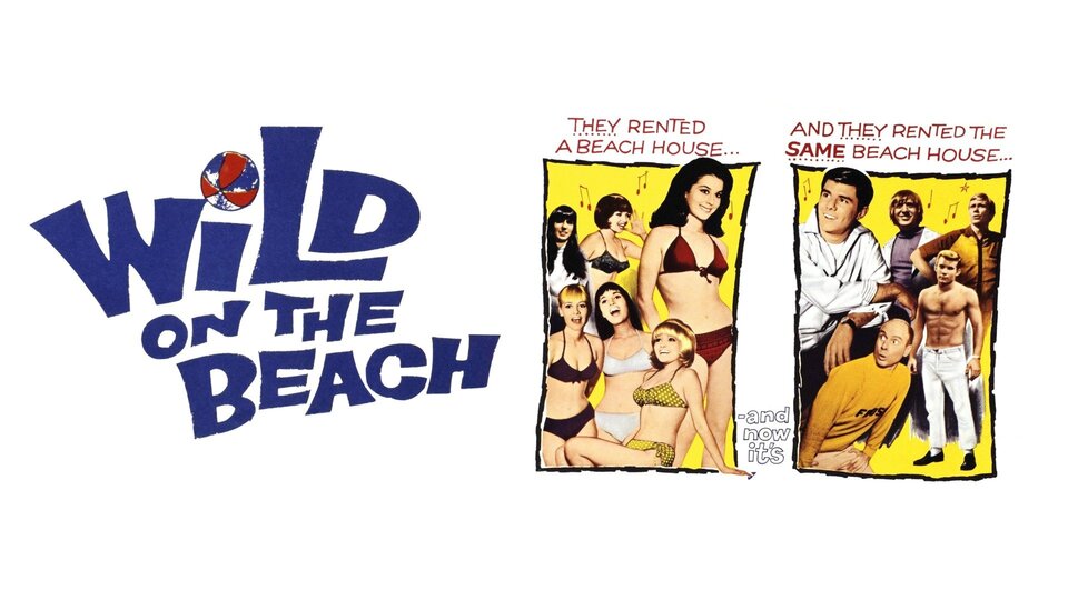 Wild on the Beach Movie on DVD (1965)