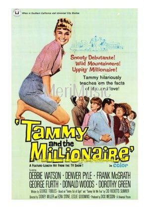 Tammy and the Millionaire 1967 on DVD Movie $9.99