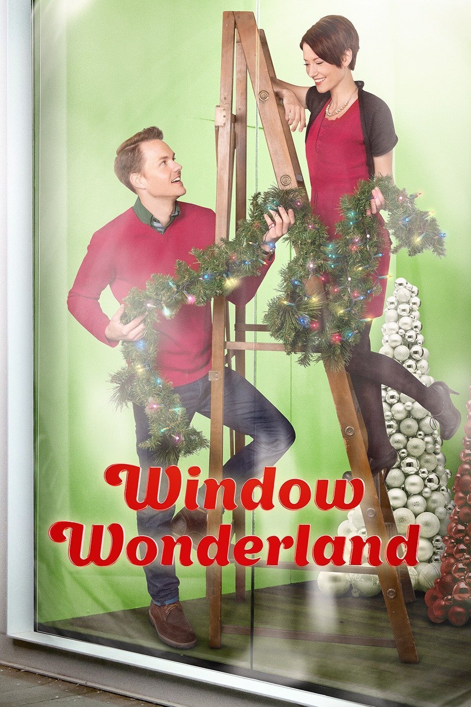 Window Wonderland DVD Movies