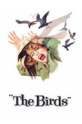 The Birds Movie on DVD (1963)